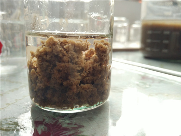 養(yǎng)豬場污泥脫水用陽離子絮凝劑 養(yǎng)豬場污泥脫水用陽離子絮凝劑