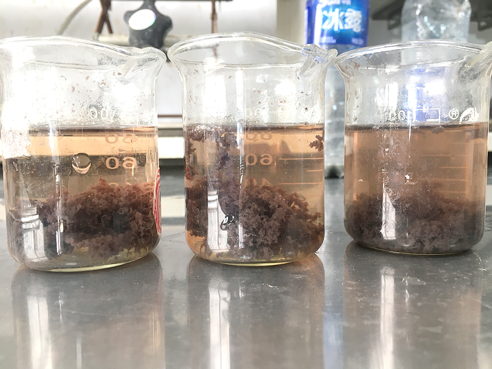 管理首頁.html 管理首頁.html